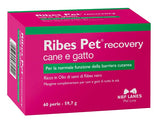 RIBES PET RECOVERY BLISTER 60 PERLE